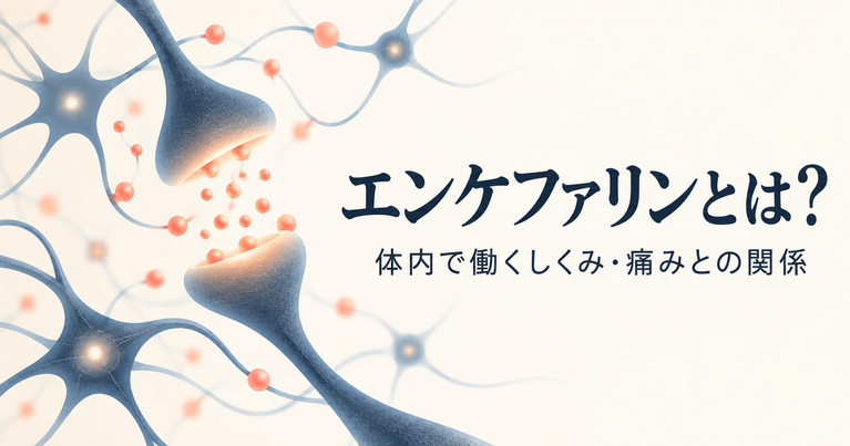 「エンケファリンとは？体内で働くしくみ・痛みとの関係」と書かれた、神経細胞と情報伝達をイメージしたイラスト