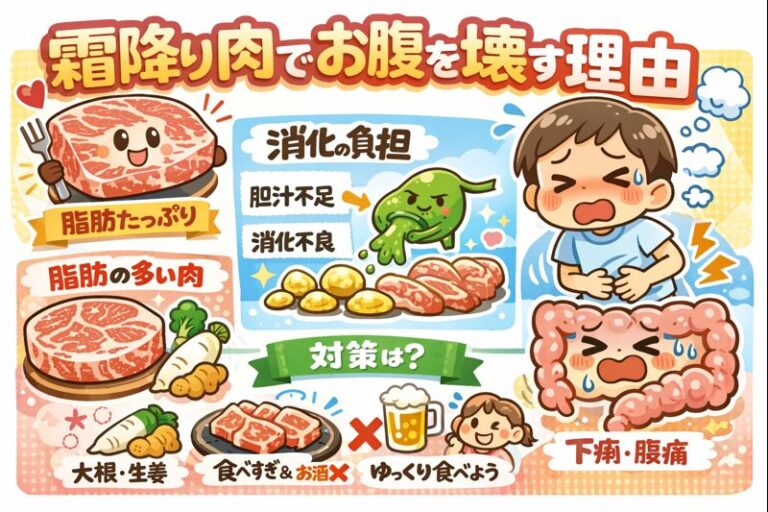 霜降り肉で下痢・腹痛が起こる医学的理由とは？脂肪消化の限界と東洋医学からの専門的考察のイメージ図