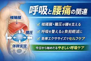 呼吸と腰痛の関連―横隔膜・腹圧・体幹安定から考えるセルフケアのイメージ図