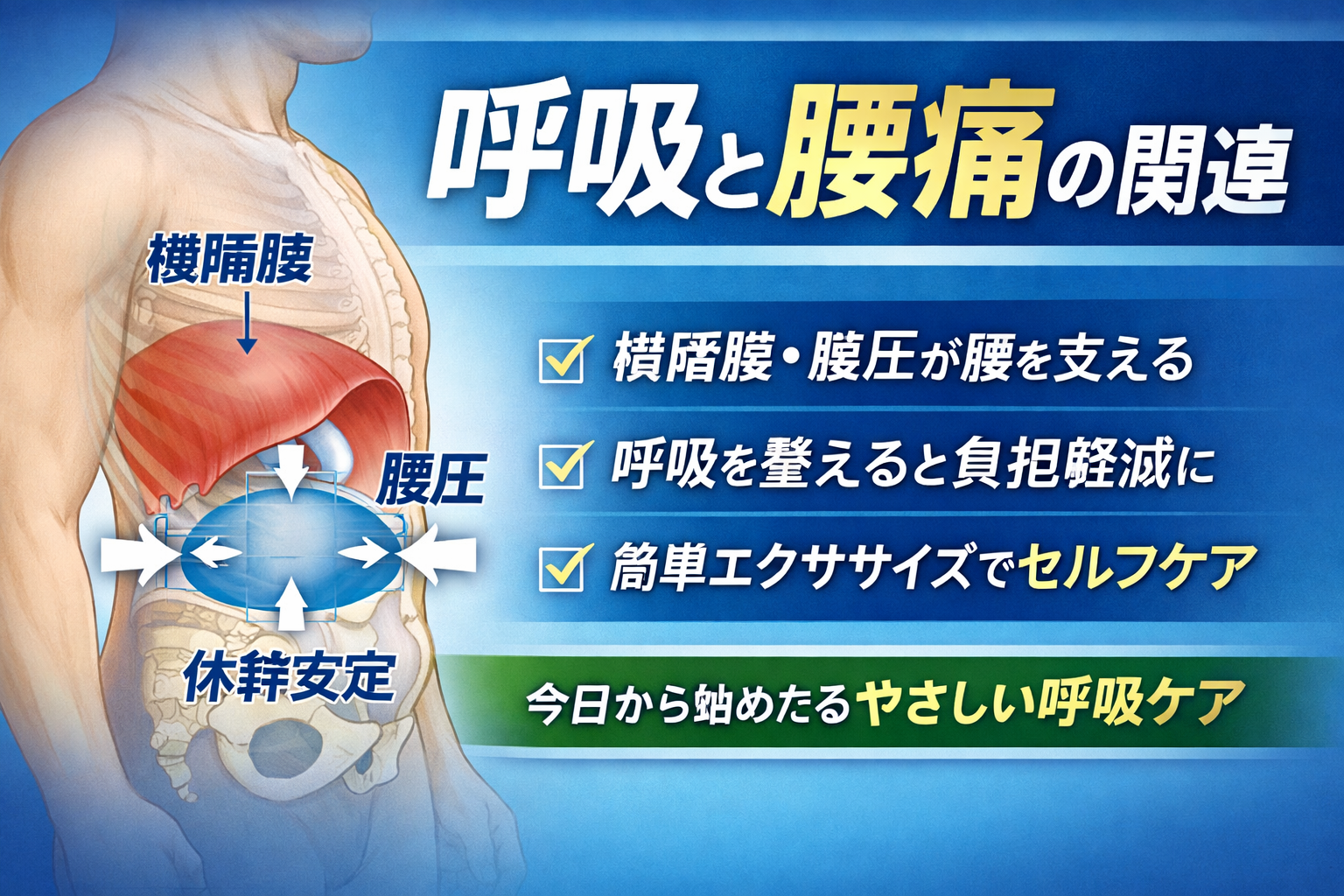 呼吸と腰痛の関連―横隔膜・腹圧・体幹安定から考えるセルフケアのイメージ図
