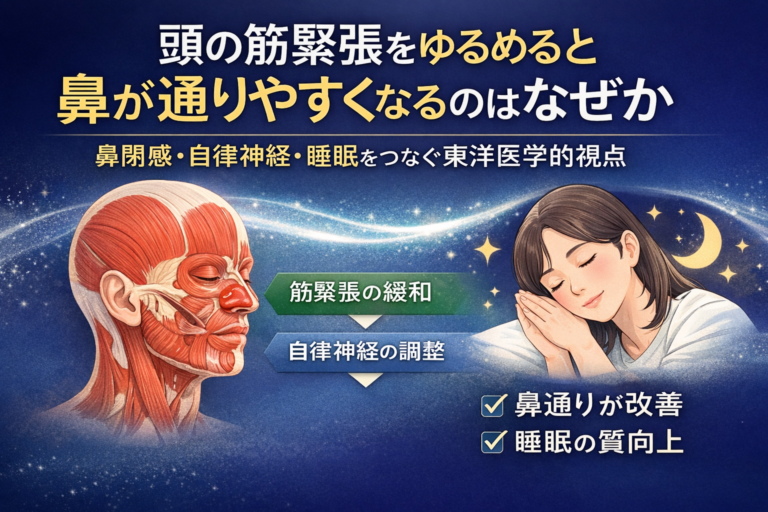 頭部の筋緊張をゆるめると鼻が通りやすくなるのはなぜか｜鼻閉感・自律神経・睡眠をつなぐ東洋医学的養生視点のイメージ図