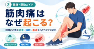筋肉痛はなぜ起こる？回復に必要な栄養・睡眠・血流のしくみをわかりやすく解説のイメージ図