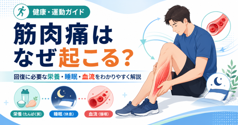 筋肉痛はなぜ起こる？回復に必要な栄養・睡眠・血流のしくみをわかりやすく解説のイメージ図